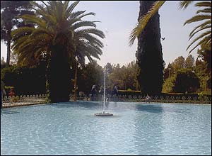 عکس از آرش صلاج هلالی