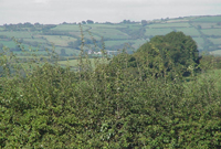 Golygfa o Gwm Gwendraeth