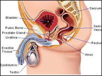 د تشو متيازو بنديدل