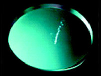 Biome by boredomresearch