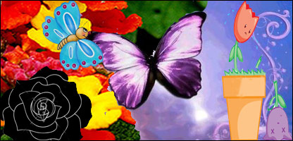 شهر پروانه ها