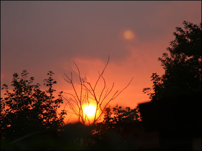 Bernard Brown: Sunset