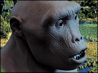 ابتدا میں کھوپڑی کے بارے میں سائنسدانوں نے متضاد دعوے کیے تھے