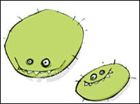 ميکی وچکی در شکم ماری