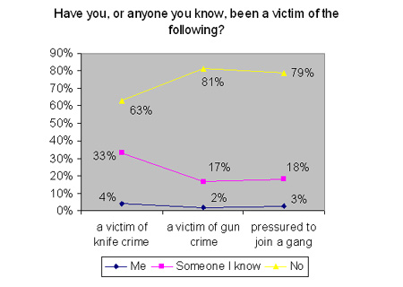 Young People Survey 1