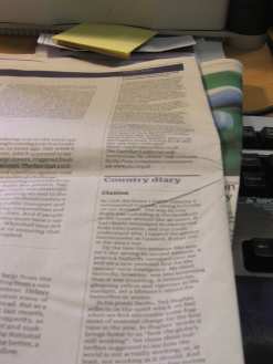 A flock of Golden Plover. © Peter Simpson / blueskybirds.co.uk