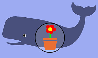 Inside the Whale - by Gwynne Harper