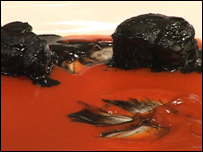 Prato do chef italiano Gualtiero Marchesi