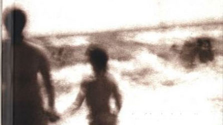 Rhan o glawr Fel Aderyn