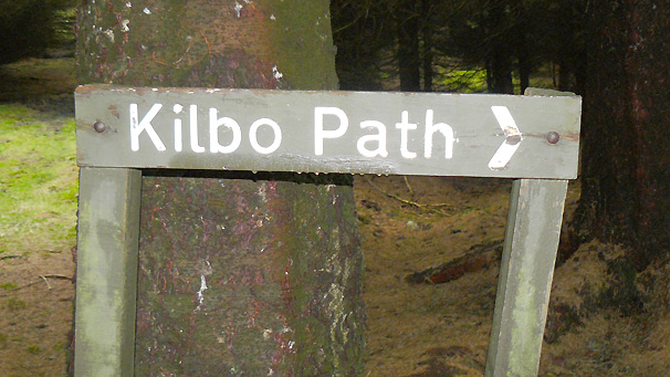 Kilbo Path, Kerriemuir, Angus Glen