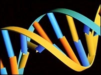 जेनेटिक मैप