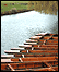 Punting in Cambridge