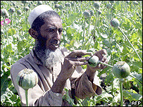 Farmáři na polích s mákem