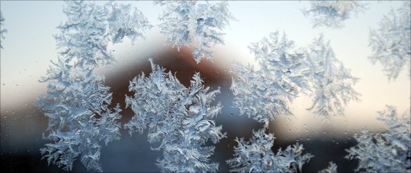 Ice crystals frozen to a window