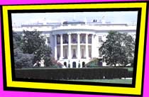The White House