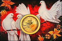  عکس از پيمان هوشمند زاده