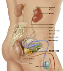  صحت وزندگی: