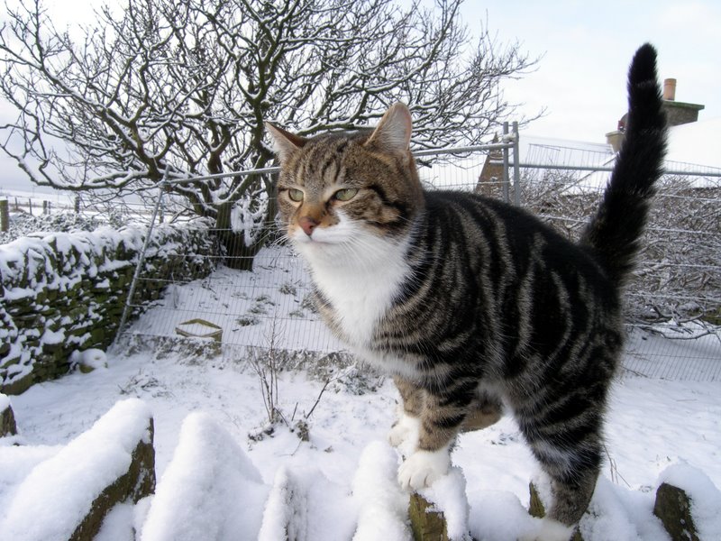 Giles posing for the camera