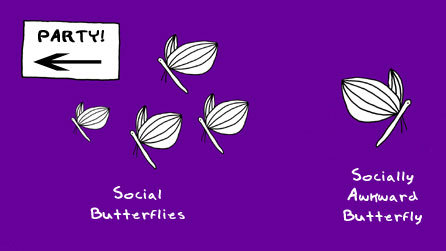 Doodle by Andre Jordan