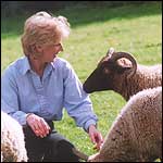 Jane Kallaway and Manx Loghtan sheep