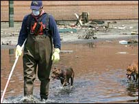 Kasırganın vurduğu bölgede bir kişi