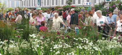  Today at Chelsea (image: Crowds at Chelsea Flower Show)