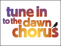 Dawn Chorus logo