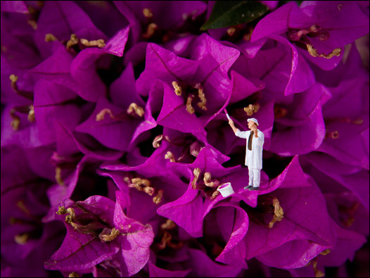 'O pintor de paredes perdido'' - Vincent Bousserez/ Twentyonehundred