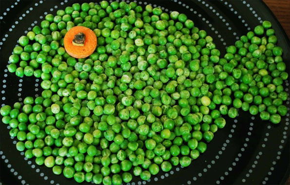 Fish by Lisa Willetts