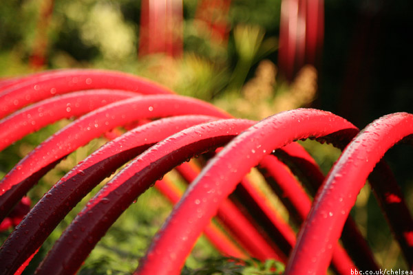Chelsea Flower Show 2011