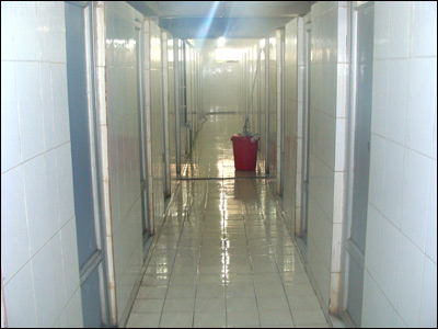 حمام قلب آسيا