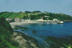Jersey coastline (Channel Island)