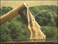 Produção de grãos no Brasil (foto de arquivo)