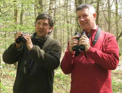 Brett Westwood and Stephen Moss listening for woodland birds in the Forest of Dean.