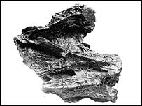 مهره گردن، عکس از نشريه تحقيقات کريتيشس