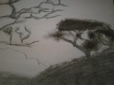 Charcoal scene