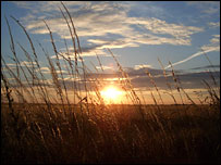 Fen Sunset - Chris Bushell