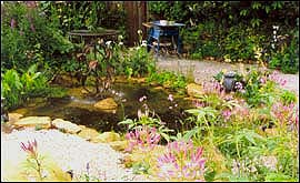 Potter's wildlife garden 