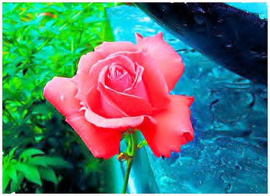 Guardian of the garden