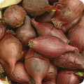 Red onions