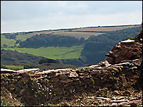 Dry stone wall