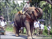 بڑی جمہوریت