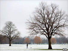Man and dog in snow on Claphan Common