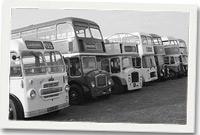 Bysus o bob lliw a llun yn yr Ŵyl Cludiant