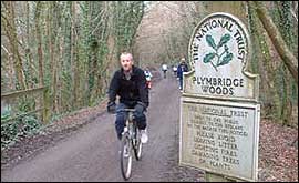 Plymbridge Woods