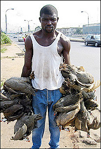 नाइज़ीरिया