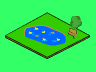 Pond