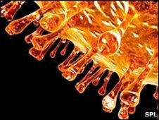 вірус грипу