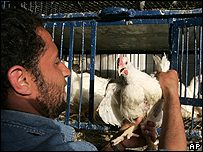  اسلام آباد مرغیاں