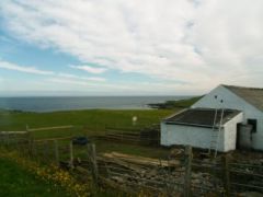 The view from the croft 